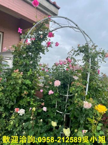 新竹竹北農舍-13