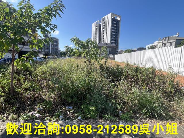 湖口建地-0