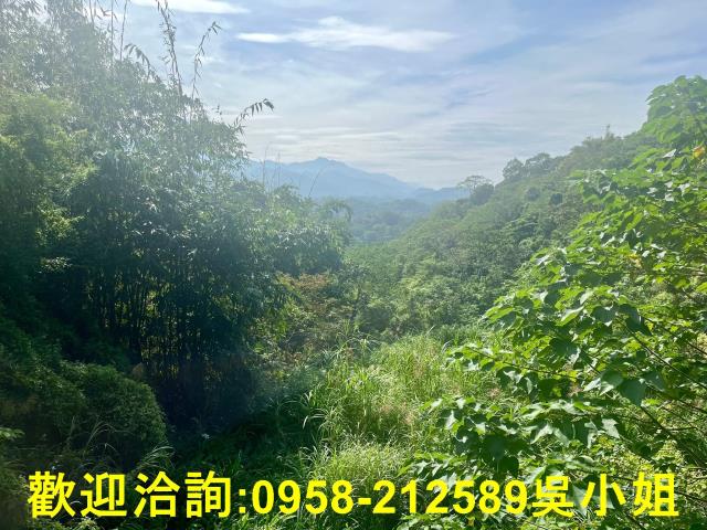 北埔山坡地-0