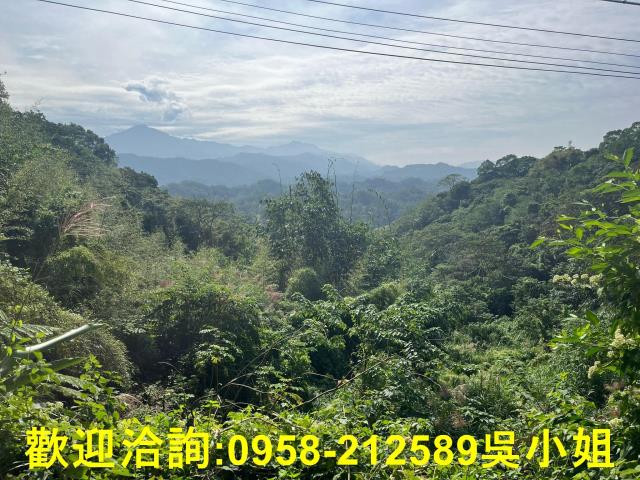 北埔山坡地-1