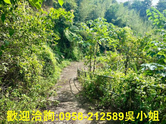 北埔山坡地-2