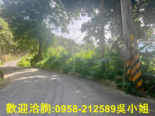 北埔山坡地-3