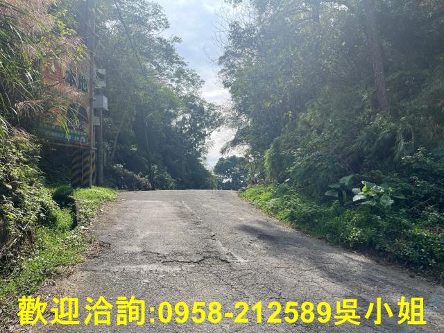 北埔山坡地-4