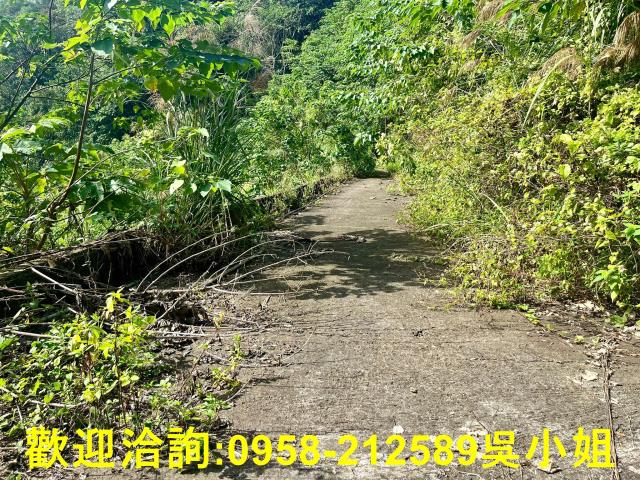 北埔山坡地-5
