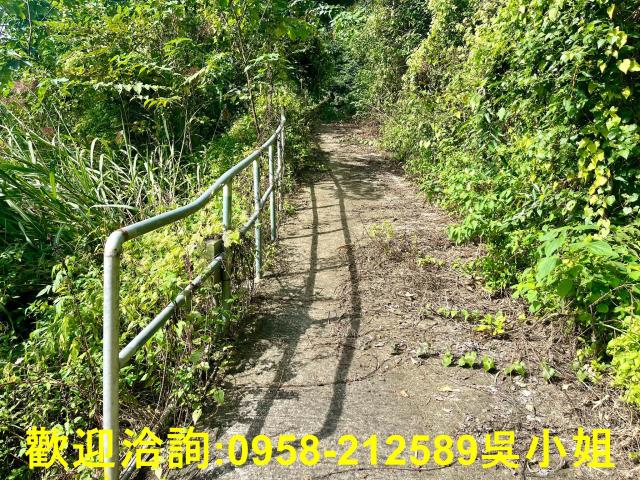 北埔山坡地-6