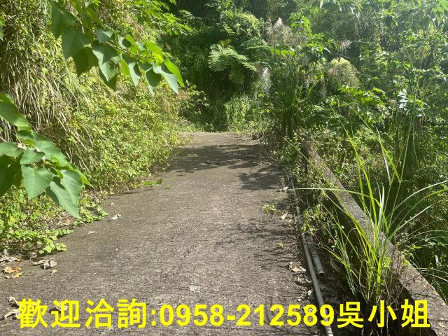 北埔山坡地-7