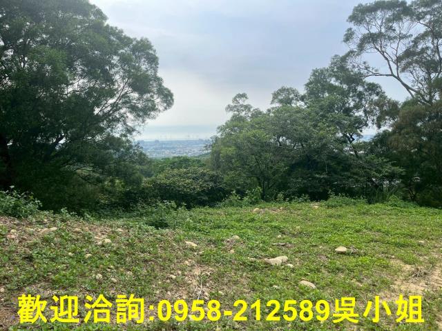 苗栗山坡地-2