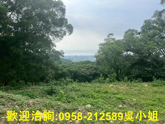 苗栗山坡地-3
