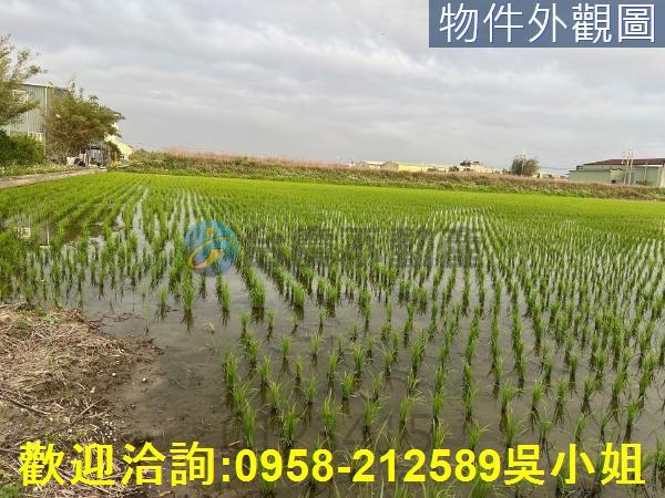 新竹農地-3