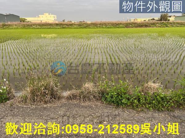 新竹農地-4