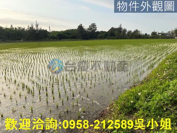 新竹農地-6