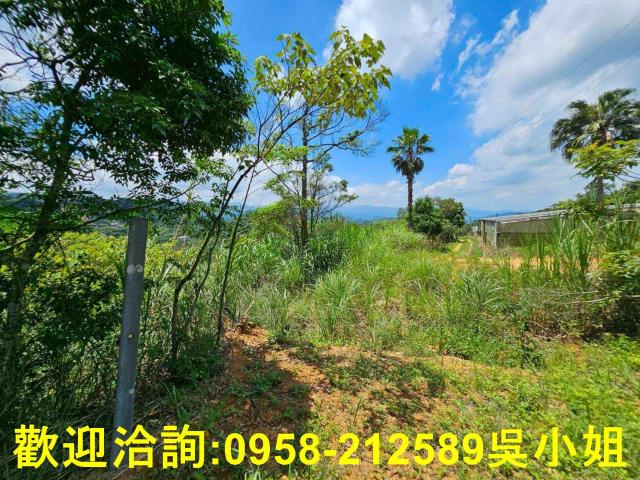 新竹關西山坡地-10