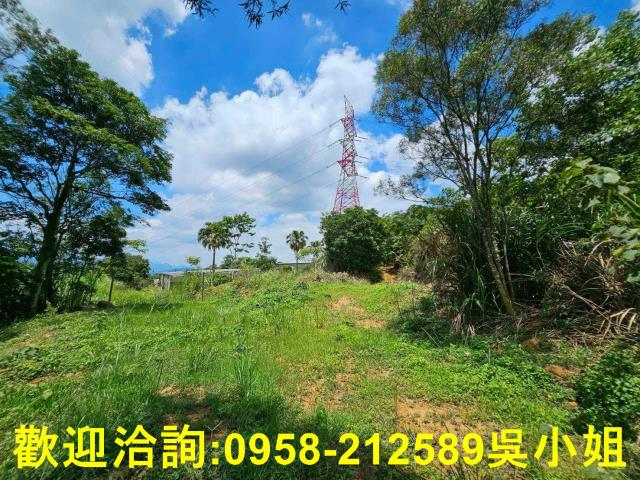 新竹關西山坡地-13