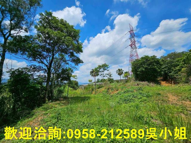 新竹關西山坡地-14