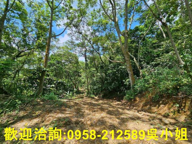 新竹關西山坡地-0