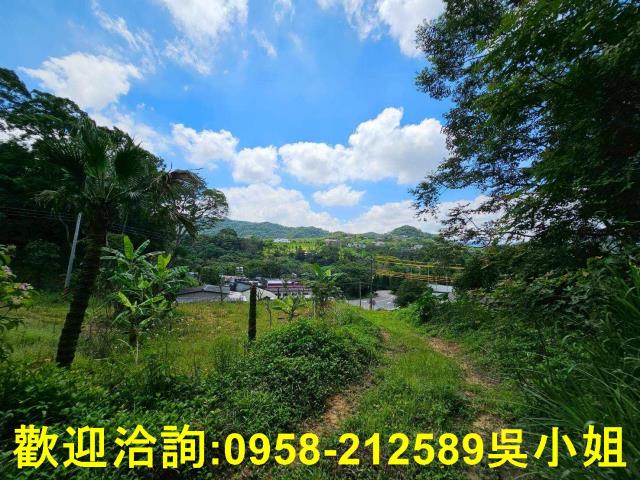 新竹關西山坡地-2