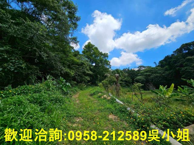 新竹關西山坡地-3