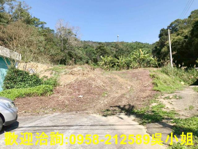 新竹關西山坡地-6