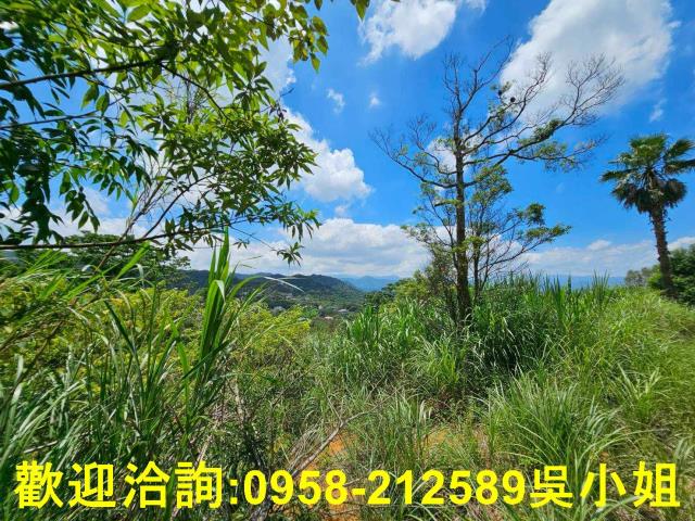 新竹關西山坡地-8