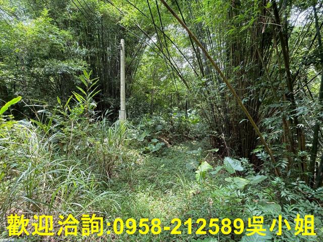 新竹峨眉山坡地-0