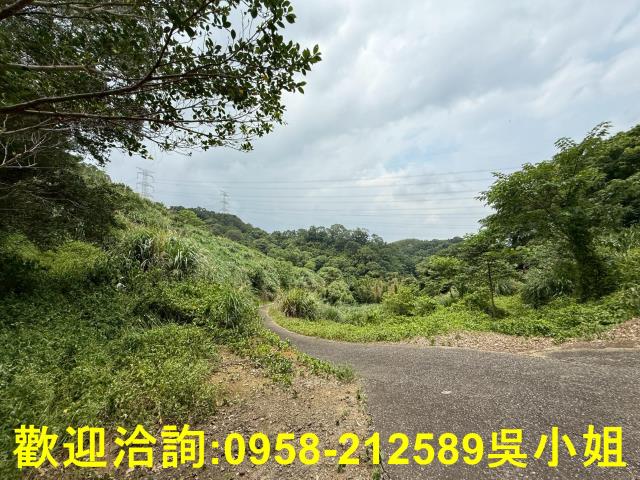 新竹峨眉山坡地-2