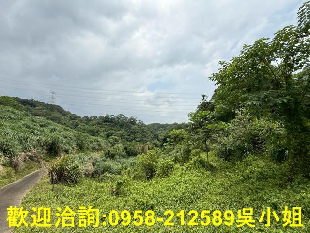 新竹峨眉山坡地-3