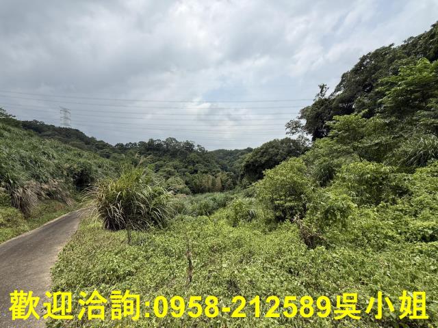 新竹峨眉山坡地-6