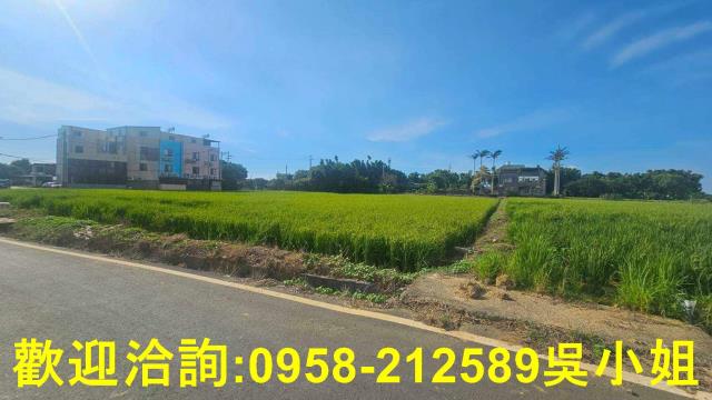 新竹新豐農地-3