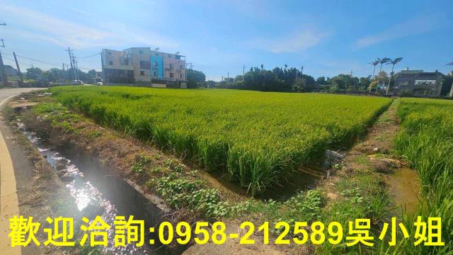 新竹新豐農地-4