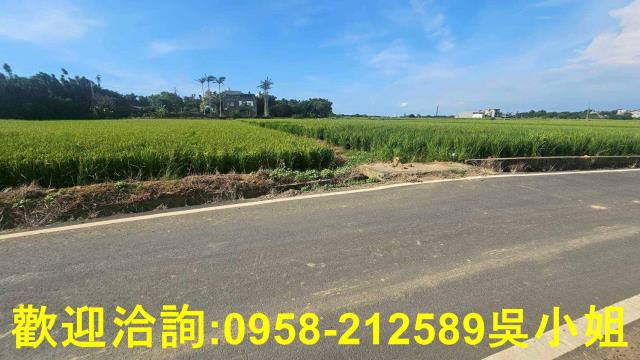 新竹新豐農地-6