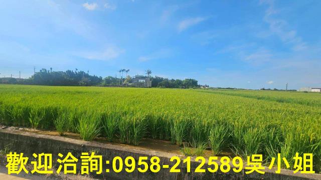 新竹新豐農地-7