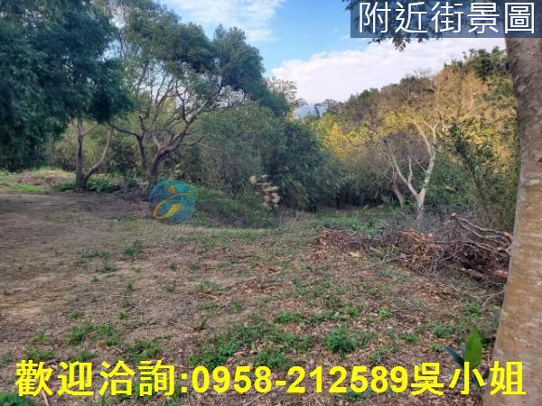 新竹新埔山坡地-0