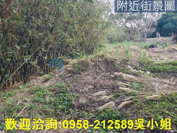 新竹新埔山坡地-1