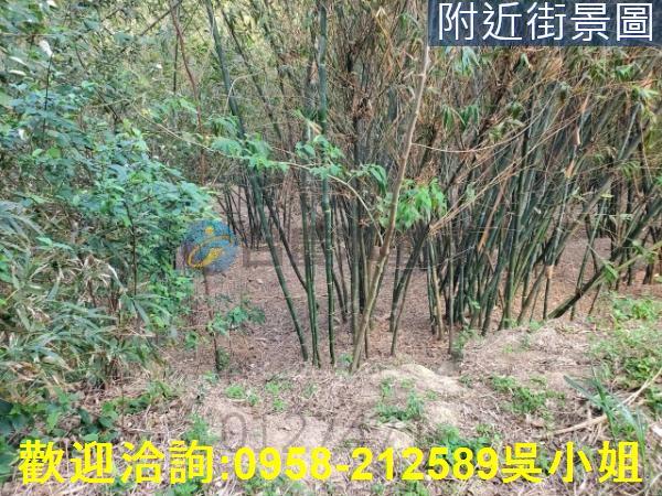 新竹新埔山坡地-2