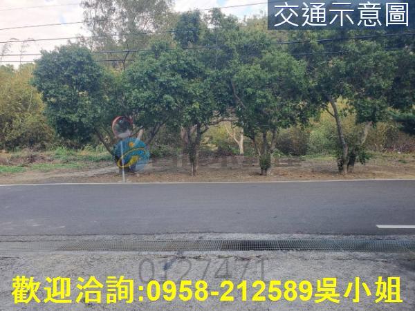 新竹新埔山坡地-5