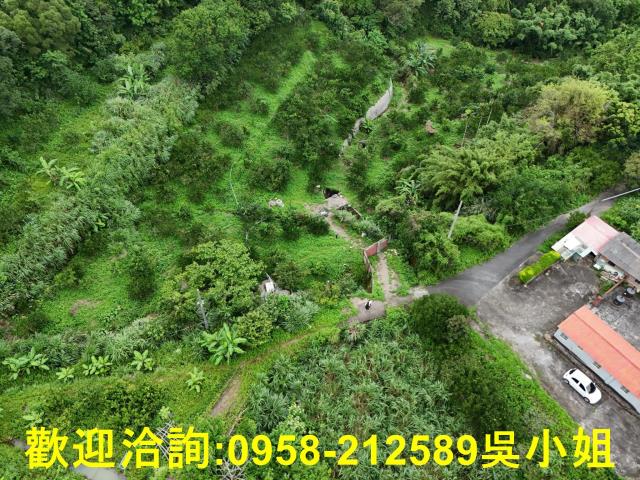 新竹關西山坡地-1