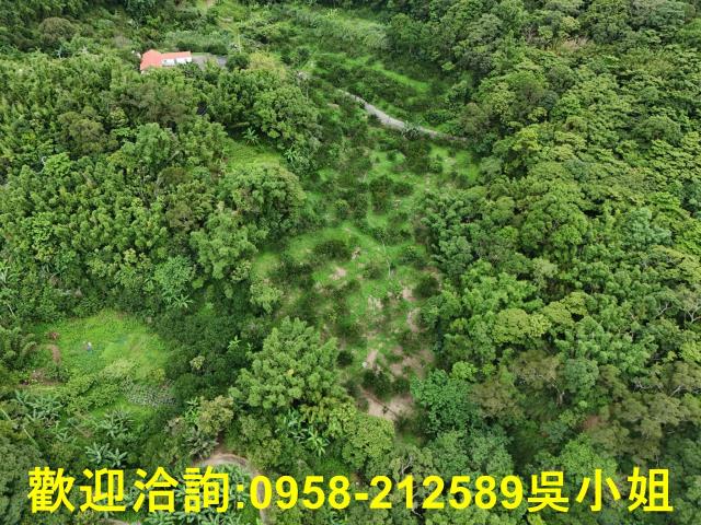 新竹關西山坡地-2
