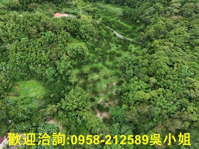新竹關西山坡地-3