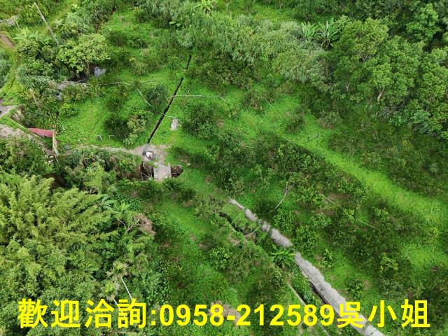 新竹關西山坡地-4