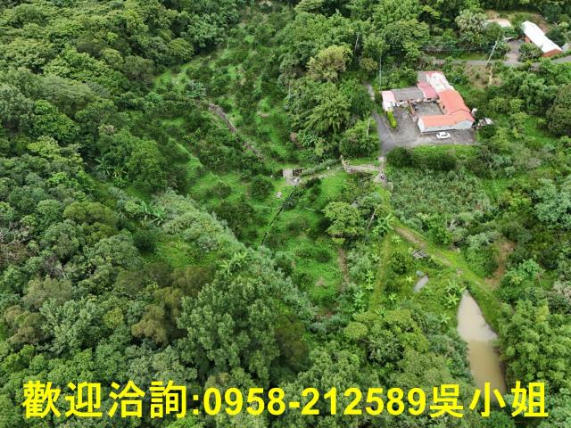 新竹關西山坡地-5