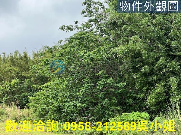 新竹農地-9