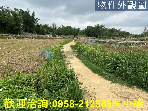 新竹農地-4