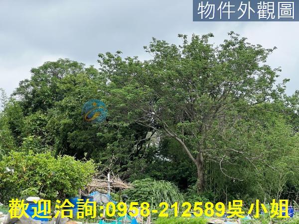 新竹農地-8