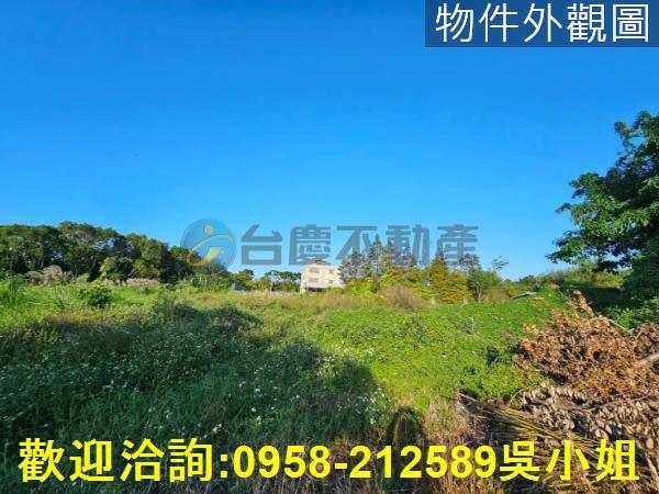 新竹農地-4
