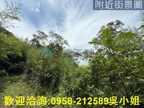 新埔山坡地-4