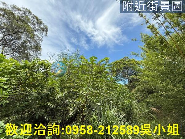 新埔山坡地-5