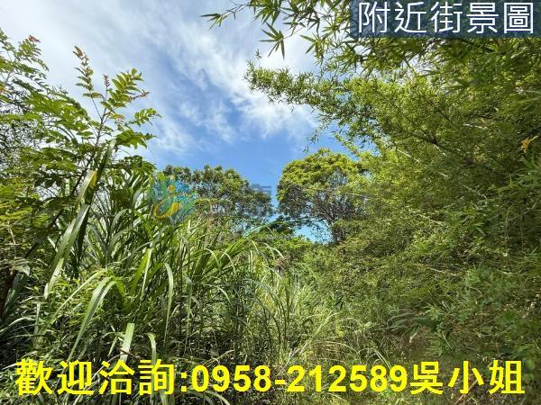 新埔山坡地-6