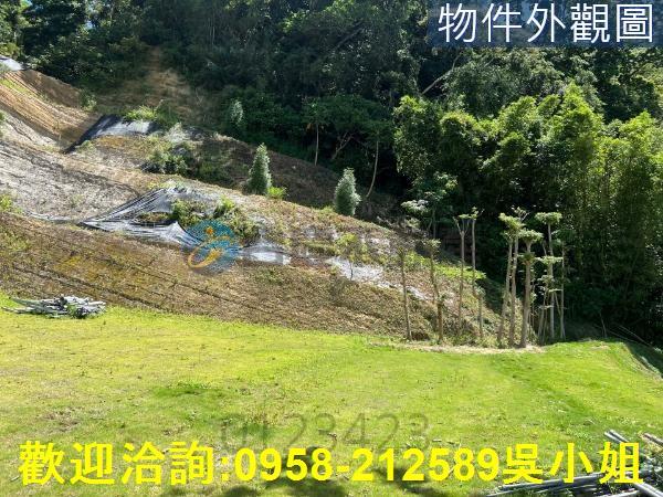 寶山山坡地-6