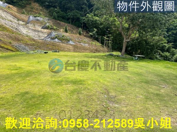 寶山山坡地-7