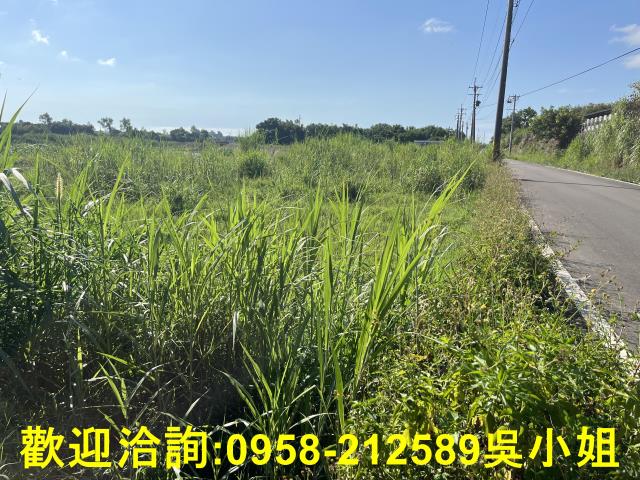 新竹農地-12